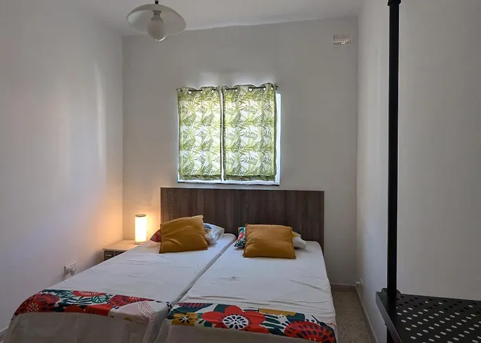 Fly Dodo Summer Residence